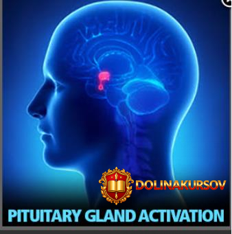 aktivacija-gipofiza-idoser-2018.24420.jpg
