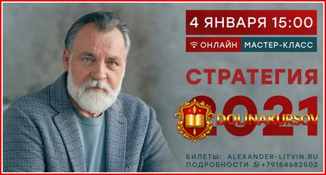 aleksandr-litvin-strategija-2021.54763.jpg