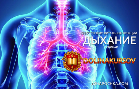 anton-shapochka-kvest-po-telu-vitalnye-funkcii-dyxanie-2020.53357.jpg