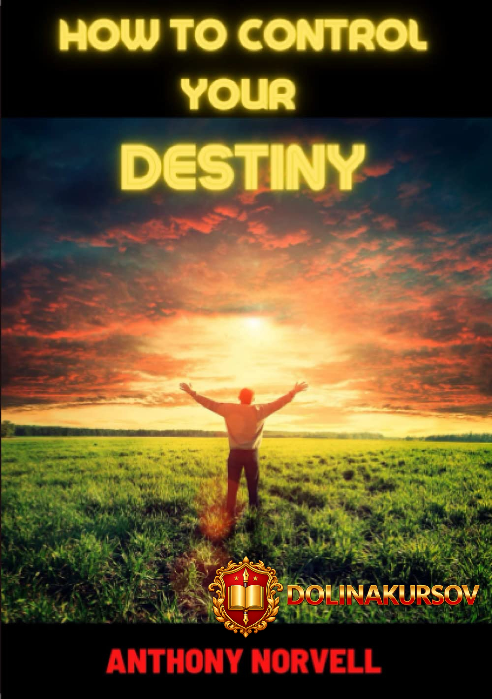 how-to-control-your-destiny-kak-upravljat-svoej-sudboj-anthony-norvell-ehntoni-norvell.467703.jpg