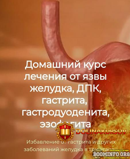 igor-kaufman-domashnij-kurs-lechenija-ot-jazvy-zheludka-dpk-gastrita-2024.82043.jpg