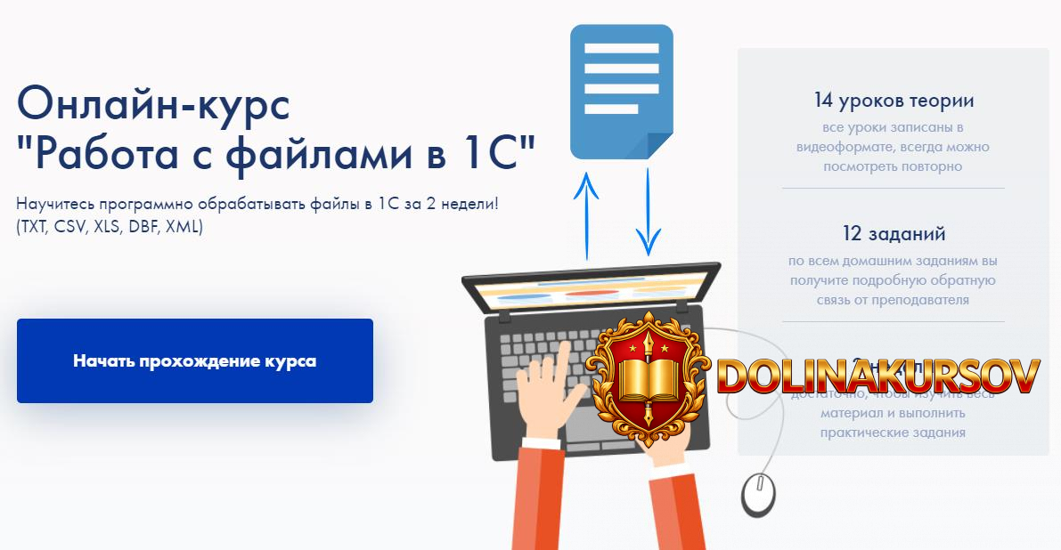 ironskills-ivan-gordynec-onlajn-kurs-rabota-s-fajlami-v-1s-2020.54821.jpg
