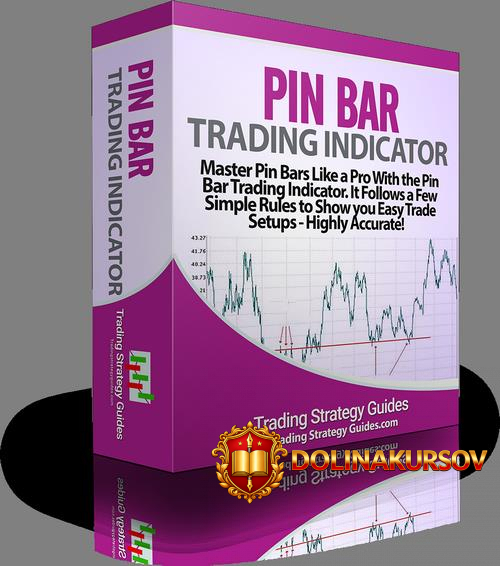 raman-gill-kurs-obuchenija-indikator-pin-bar-2019.42387.jpg