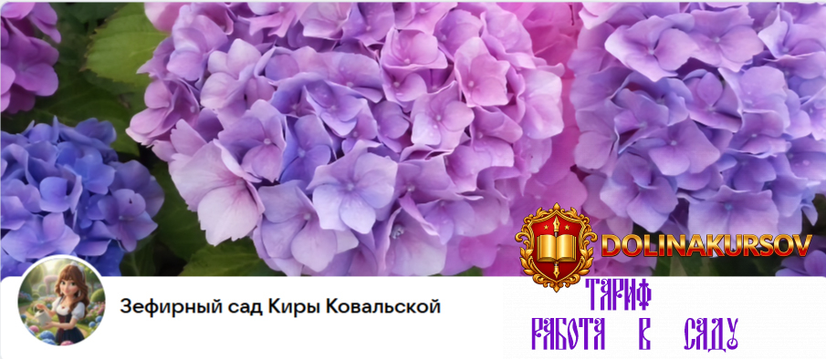 zefirnyj-sad-donatnaja-podpiska-na-mesjac-tarif-rabota-v-sadu-kira-kovalskaja.466186.jpg